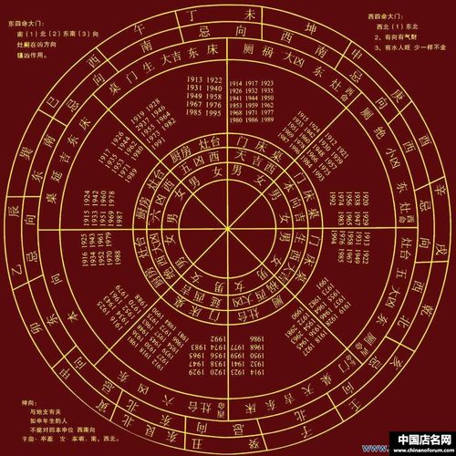 精选2020阴阳五行八卦图