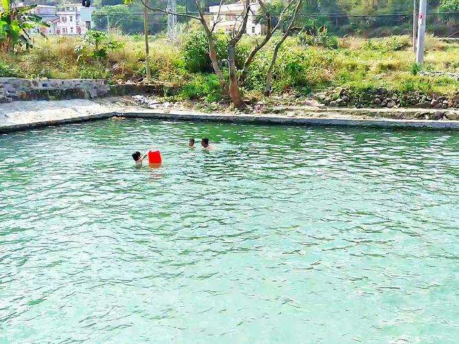原创广东这个37度的野温泉完全免费,是天然游泳池,最适合秋天亲子游