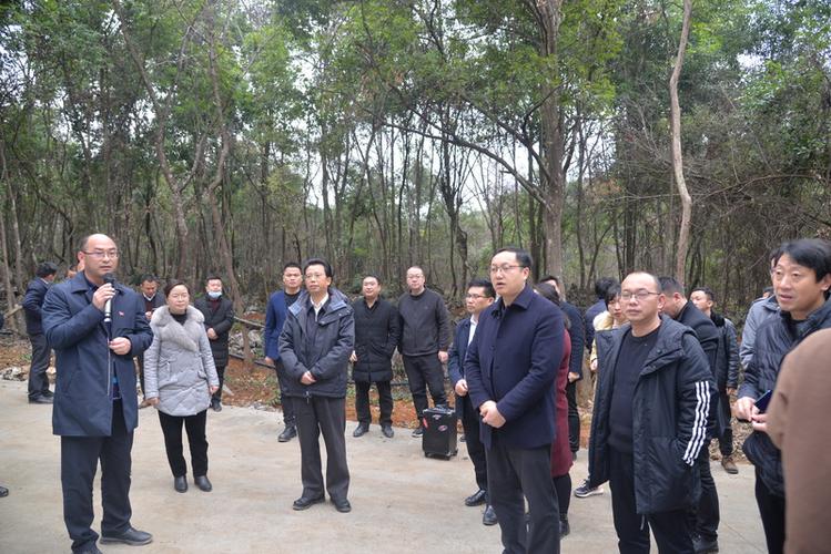 州委常委,从江县委书记张定超带队到洛香镇淫羊藿基地