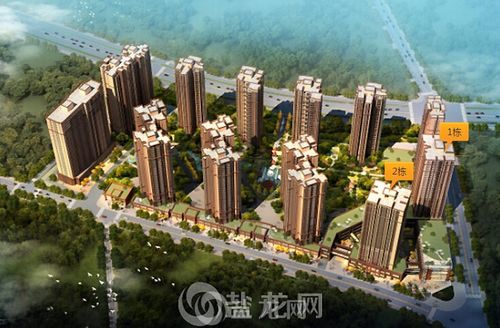 南湖国际社区在售楼栋分布图