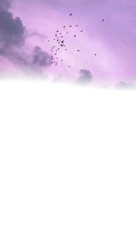 qq空间背景图全屏