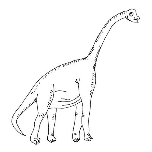 腕龙简笔画图片