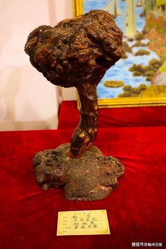 根艺作品《千年灵芝》.(罗玮 摄)