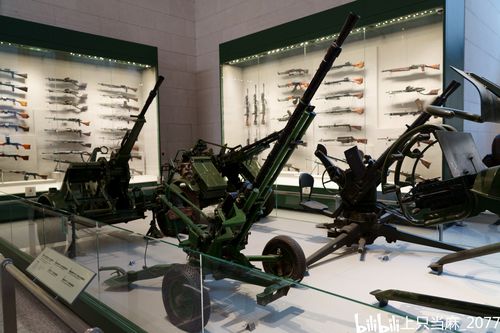 【上只当麻游记】中国人民革命军事博物馆 2021 原图