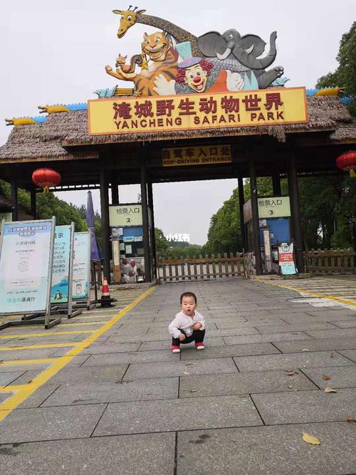 常州淹城野生动物园_胡萝卜_城野_羊驼_自驾游_熊猫_工作_江苏淹城