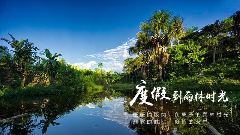 镜头里的雨林时光-西双版纳搜狐焦点网