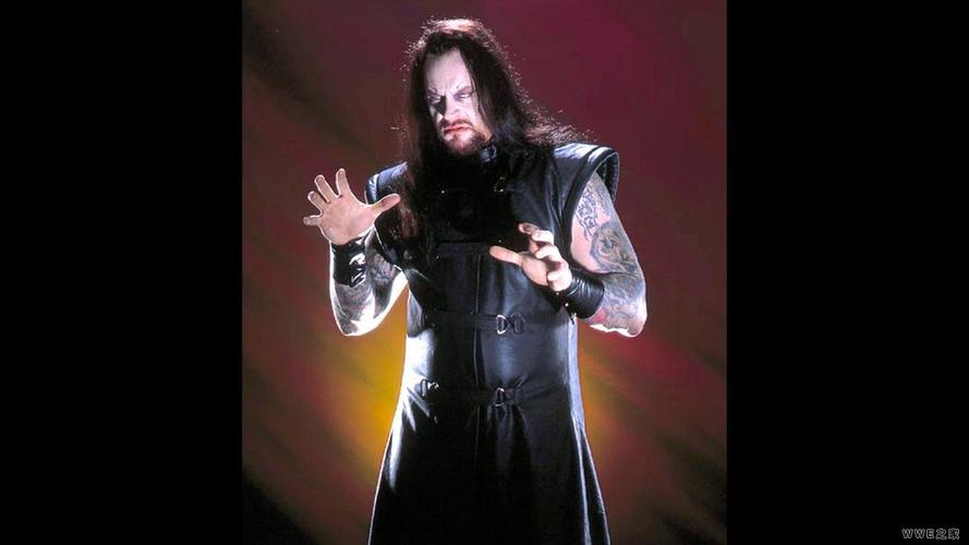 wwe送葬者(ut)经典照片【高清100张】(60)