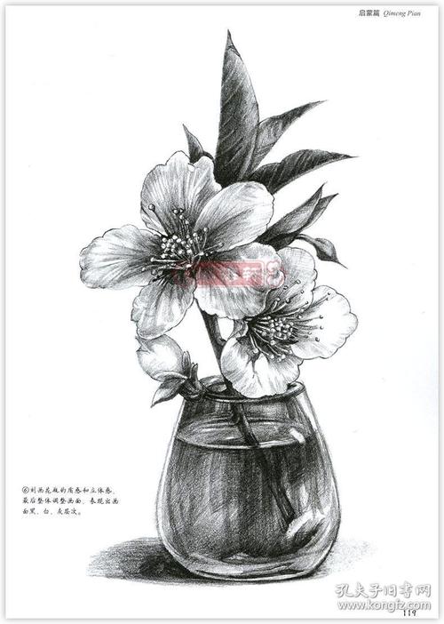 启蒙篇动物篇静物篇 速写教程风景篇 成人学生素描自学入门教程临摹