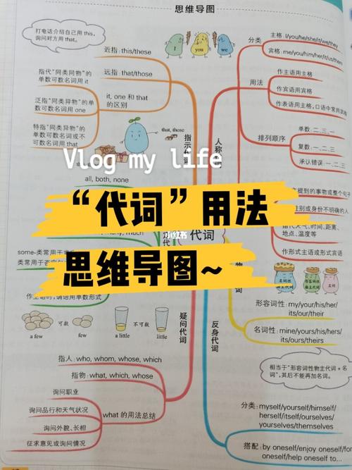 用思维导图的形式总结了"代词"的用法