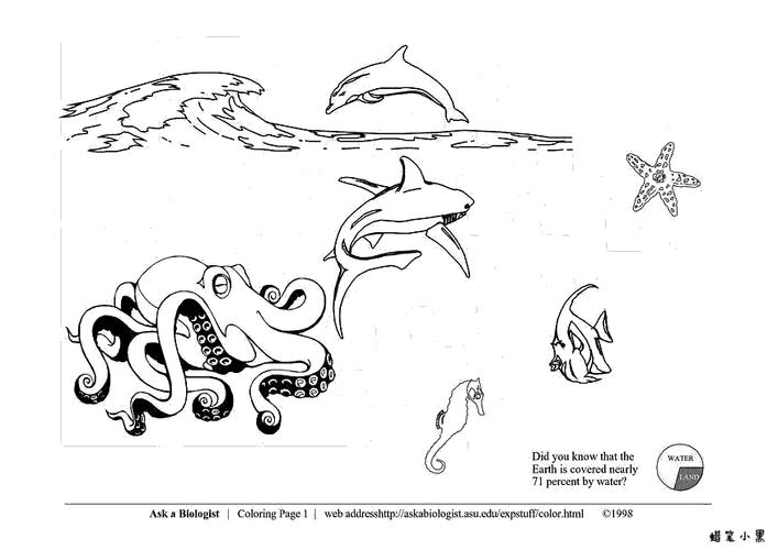 海洋生活儿童涂色画图片
