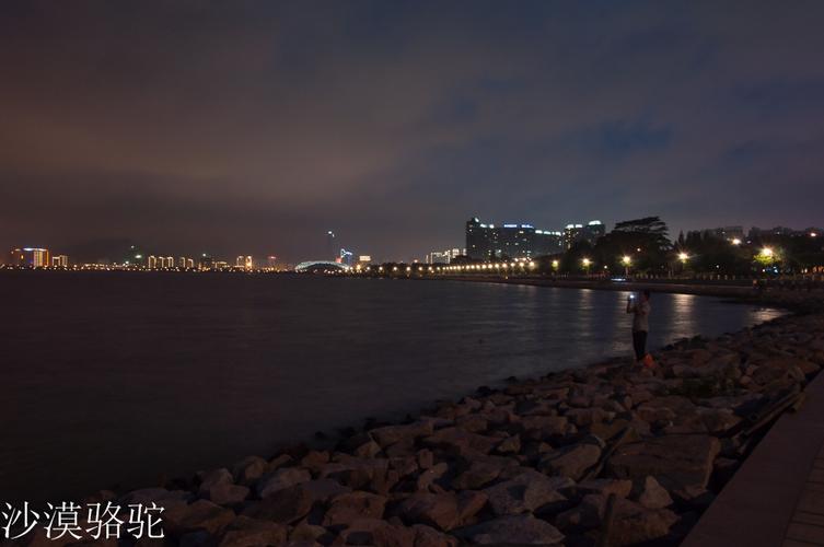 标题:深圳红树林夜景
