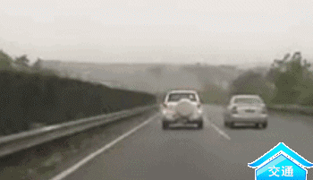 九匹骏马深夜 跑上高架一路狂奔 近日,江苏苏州某路段高架上出现九匹