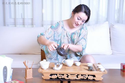 国模雪茶[150p]