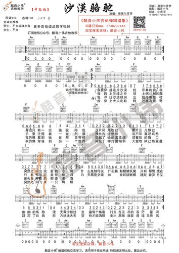 沙漠骆驼(酷音小伟吉他教学)