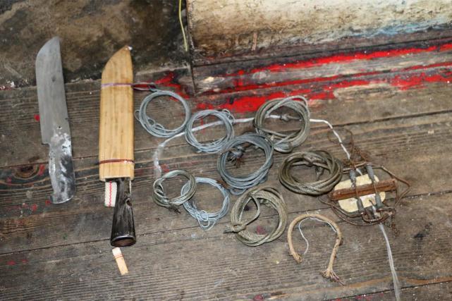 二级保护野生动物黑熊掌4只,以及松鼠皮3张,野猪蹄16只及部分动物肉