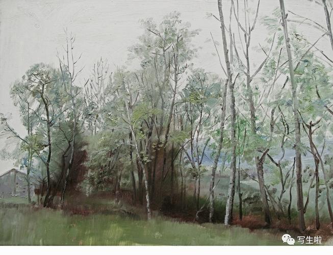 《小树林》60x80cm 2017年 岁月古镇系列