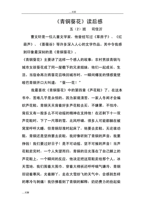 《青铜葵花》读后感.doc