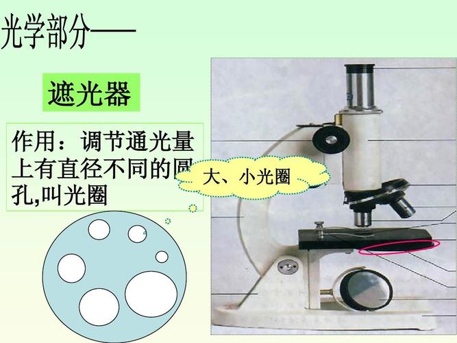 1.2 细胞的多样性和统一性 高倍显微镜的使用ppt