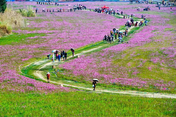 云南德宏傣族景颇族自治州盈江县国家湿地公园新春景点