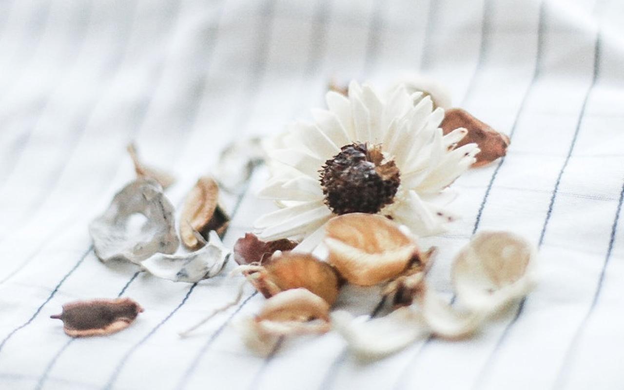 小清新文艺极简居家静物图片桌面壁纸