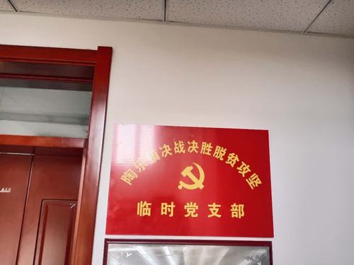 宁夏平罗:临时党支部为脱贫攻坚装配"红色引擎"