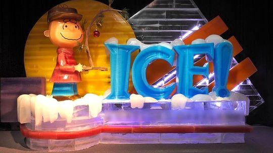 江阴极地冰雪王国门票