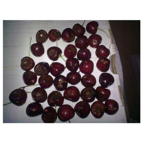 车厘子商品评价 > 非常的差,樱桃都坏了