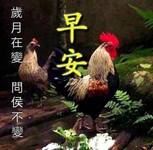 2020朋友群新版早上好祝福语唯美早上好问候语图片大全