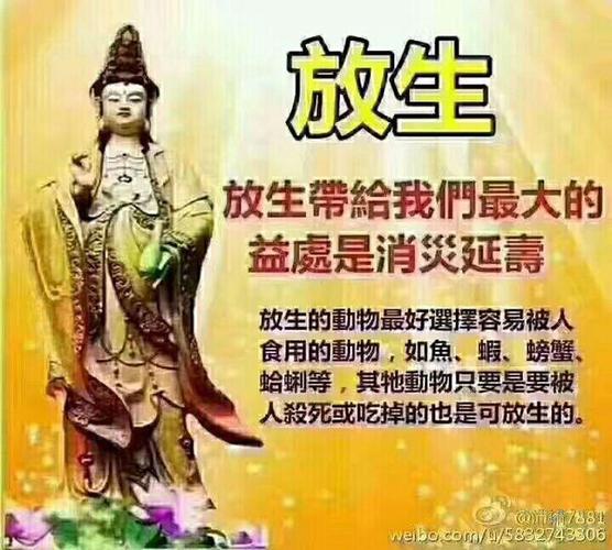 放生具足大功德,是财布施,无畏布施,法布施