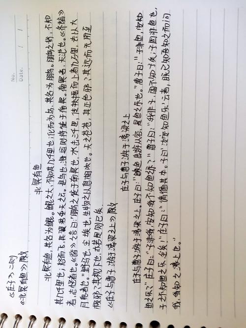 庄子与惠子游于濠梁之上,虽有嘉肴,大道之行也,马说,茅屋为秋风所破歌