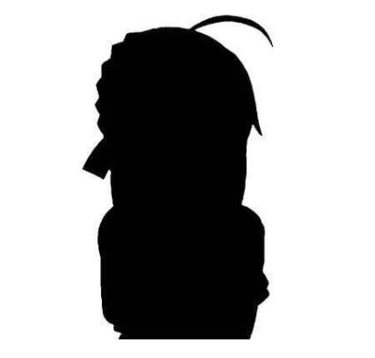 阴影猜动漫角色游戏简介