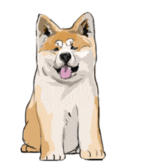 狗狗gif歪头gif疑问gif可爱gif