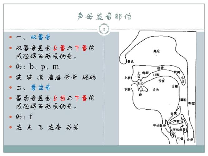 普通话声母发音训练ppt课件.ppt
