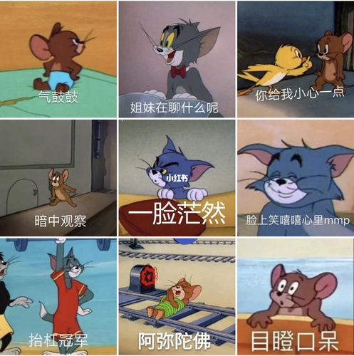 90tom&jerry表情包第三弹_表情包_表情包分享_素材_表情包