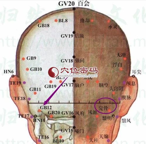 完骨穴的准确位置图