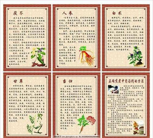 中草药的手抄报 爱的手抄报