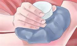 "bad bugs"-- rove beetles "害虫"—隐翅虫