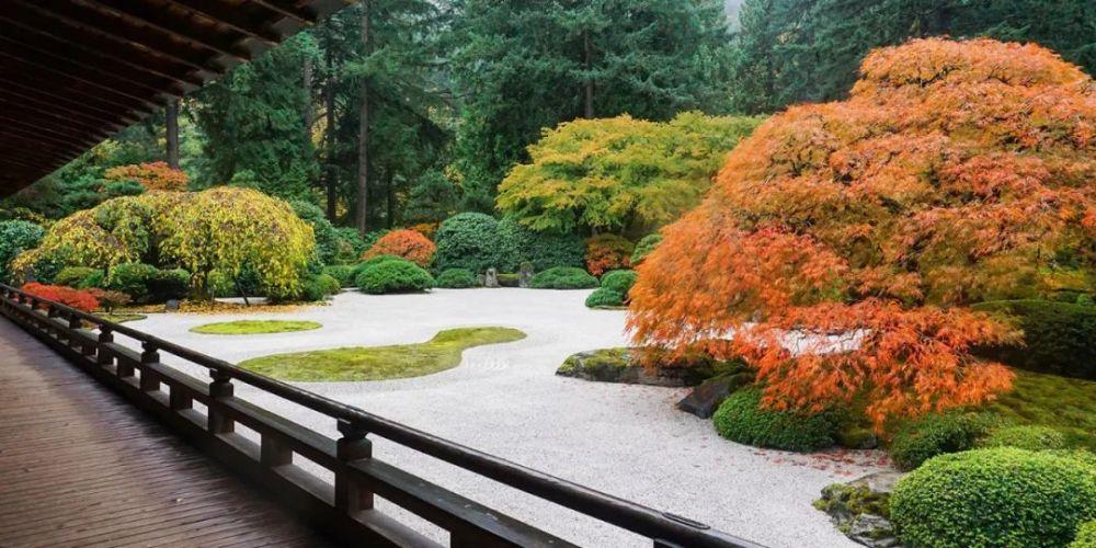 致美石与树邂逅日本园林的禅意小宇宙