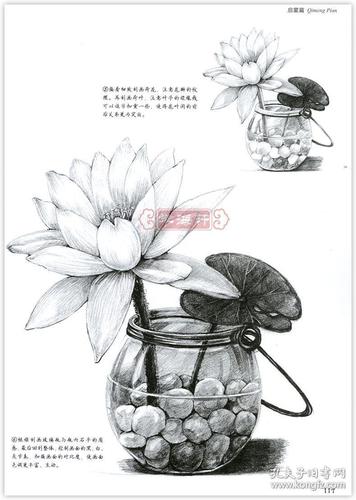 启蒙篇动物篇静物篇 速写教程风景篇 成人学生素描自学入门教程临摹