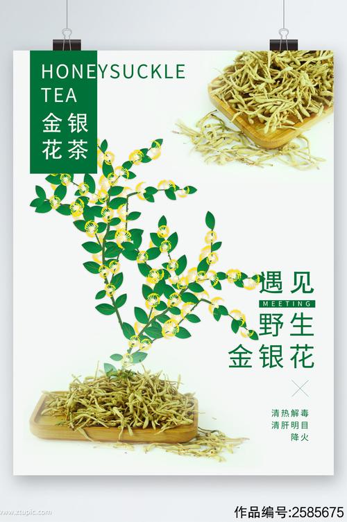 金银花茶野生金银花海报