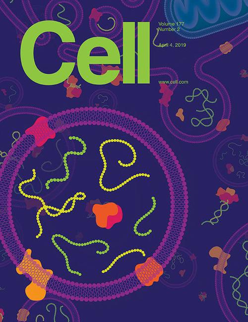 科学与艺术的结合!《cell》100 张期刊封面鉴赏|2019年篇