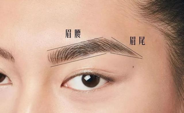 眉型不同命不同你的眉毛是什么样的不妨了解一番