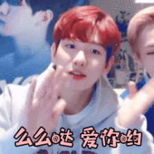 exo 边伯贤 表情包