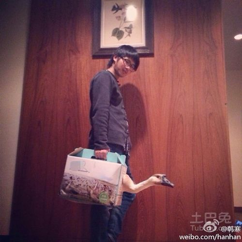 韩寒家里的内景曝光原来作家的书房是这样的