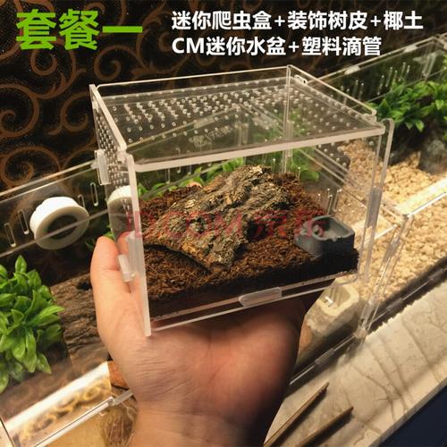 小号爬宠饲养盒亚克力爬虫箱爬虫盒蜘蛛蜥蜴饲养箱爬虫饲养爬宠盒