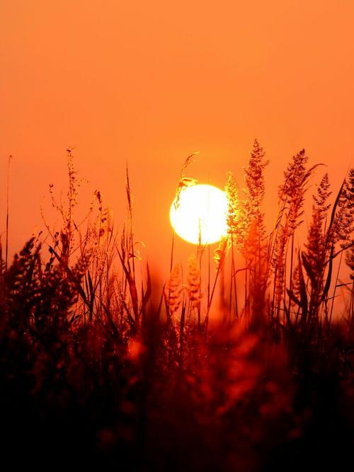 天亮了~送给爸爸妈妈的歌 唐小鸭摄影制作