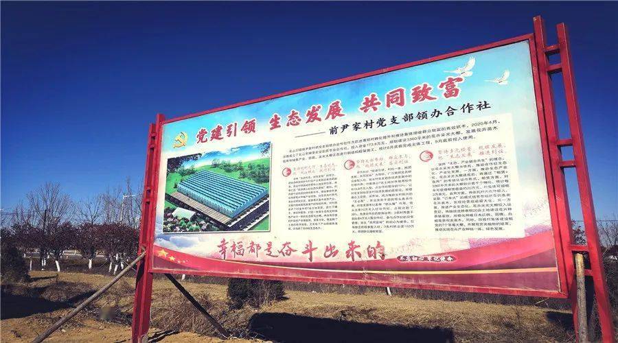 乡村振兴 | 党组织领办合作社,拓宽乡村振兴路