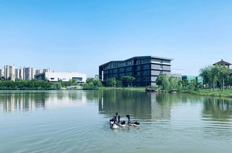 浙江树人学院2022年退役大学生士兵免试专升本招生章程