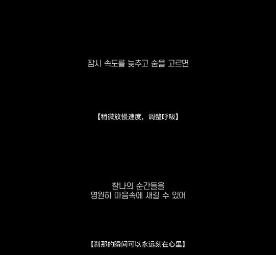 做一个纪录片每一集片尾的整理