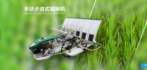 常发2zs-4hd手扶步进式插秧机